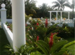 rosehallmontegobay.8