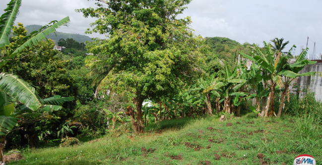 Morne Jaloux Land for Sale