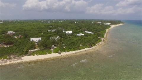 Cotton Tree, Beach Estate