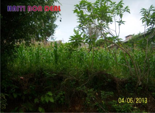 Land for Sale in Santo 19