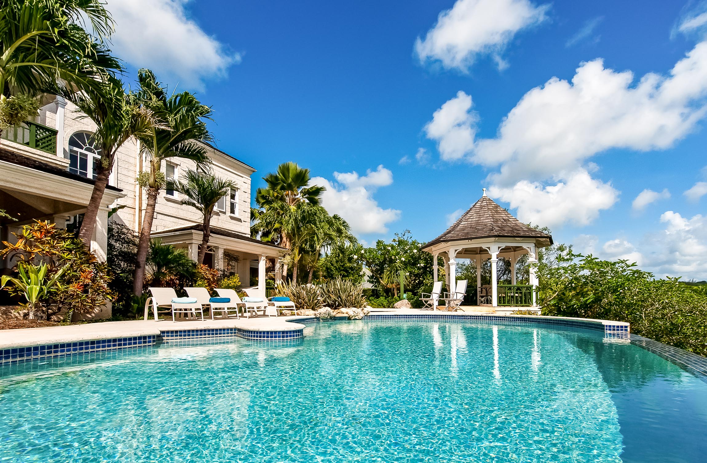 Pandanus Mullins Bay, Barbados, Caribbean